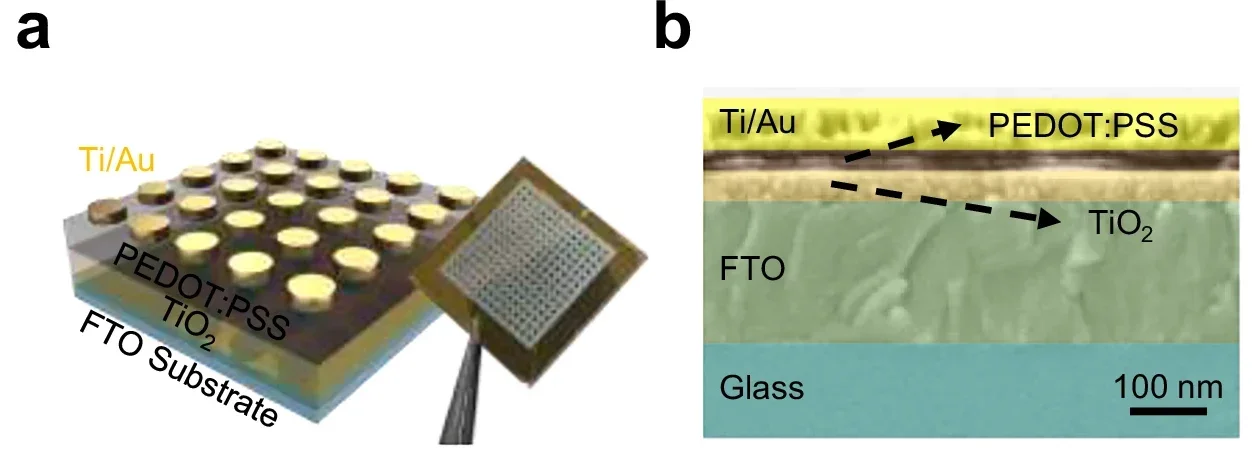 Material and electrical characterizations of the TiO₂/PEDOT:PSS-based photomemristor.
