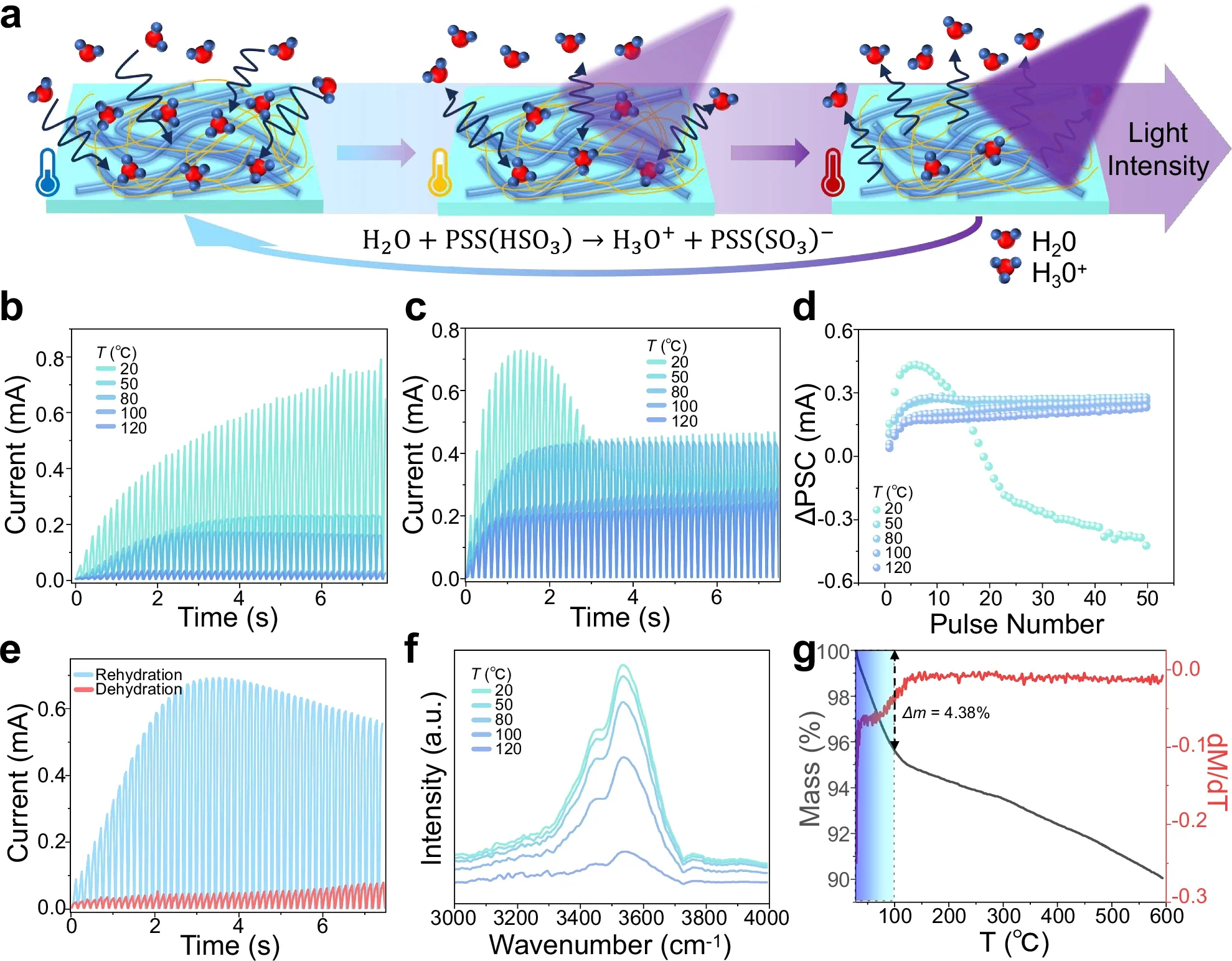 Vision-adaptation mechanism of the light intensity-regulated water absorption/desorption on PEDOT:PSS.