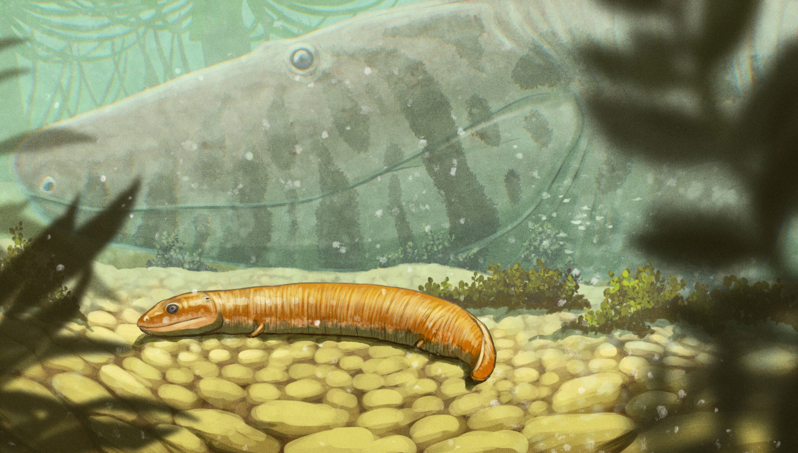 Illustration showing a baby embolomere, with an adult in the background.