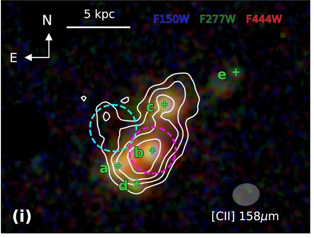 JWST and ALMA observations of CRISTAL-02. (i) 4 arcsec × 3 arcsec JWST/NIRCam 3-colour composite image with the star-forming clumps (a–d) and faint companion (e) marked (‘+’ signs indicate clump centres).