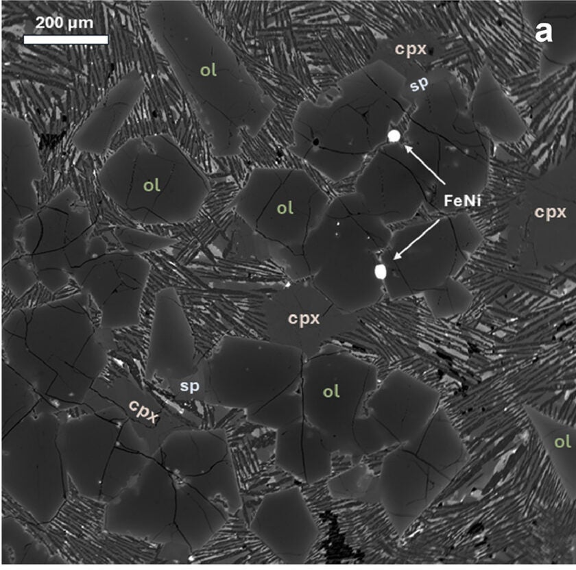 Backscattered electron image illustrating the unusual porphyritic texture and phenocryst assemblage in NWA 12774.