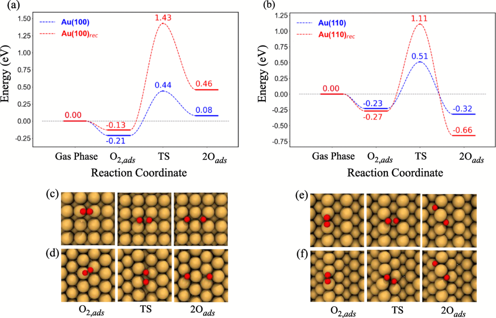 Reaction energy profiles for
O
2
dissociation on (a) Au(100) and reconstructed Au(100), and (b) Au(110) and reconstructed Au(110) surfaces. (c)–(f) Corresponding structures, where O atoms are shown in red and Au atoms in gold.