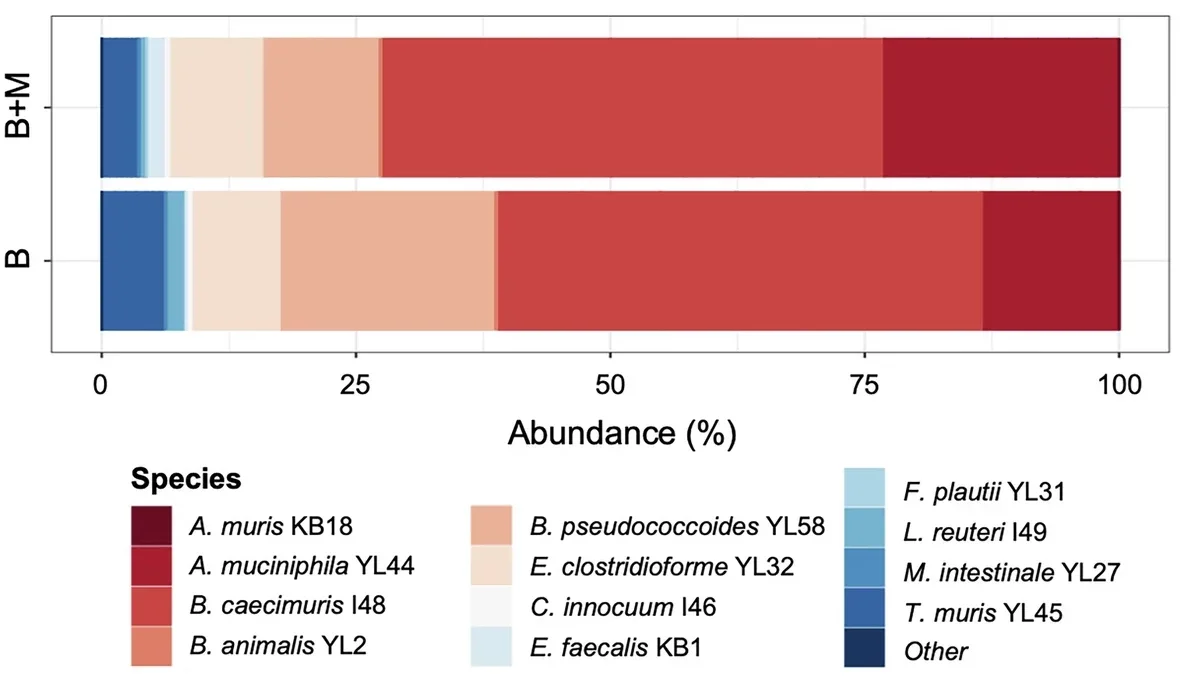 Median relative abundance changes for the 12 members of the Oligo-MM12 consortium.