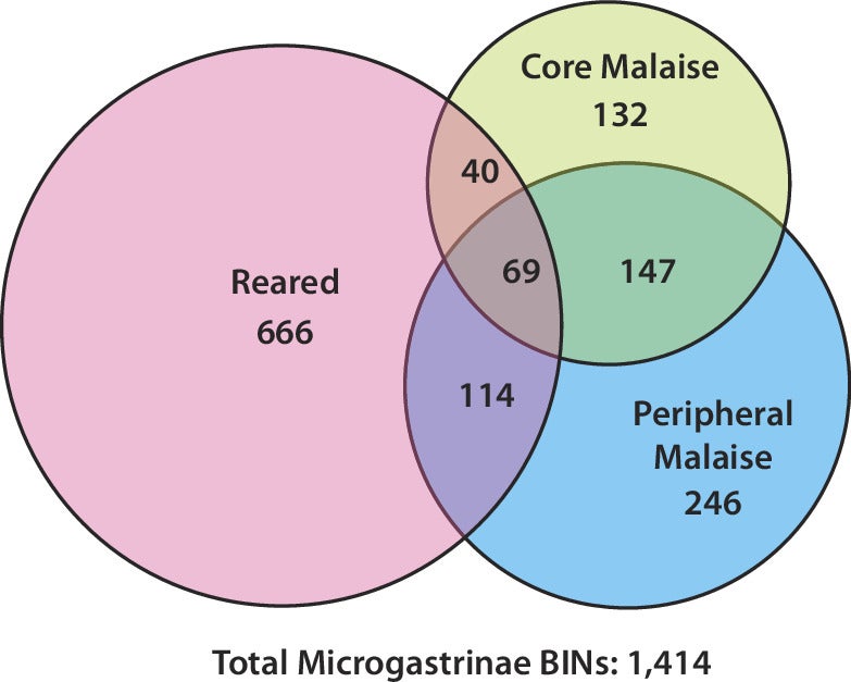 Quantitative Venn diagram showing the number of Microgastrinae species (BINs) exclusive to reared specimens, core Malaise, and peripheral Malaise trap samples and the number shared between pairs of sample sets and in common to all three sample sets.