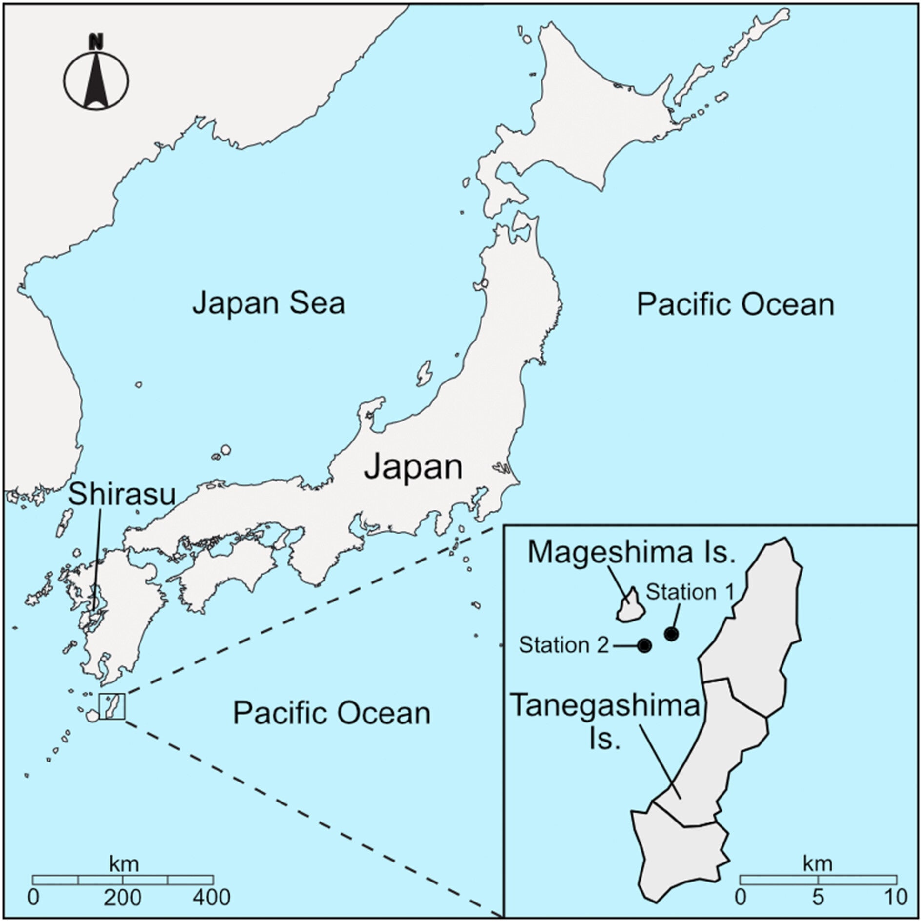 Map of Japan showing the locality of Tanegashima Island (black square) and the nearest shallow rhodolith bed, Shirasu.