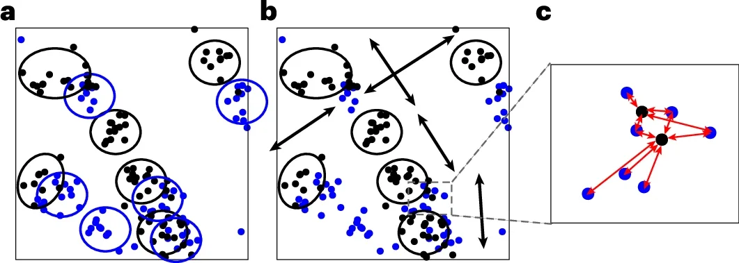 Schematic diagram demonstrating heteromyopia.