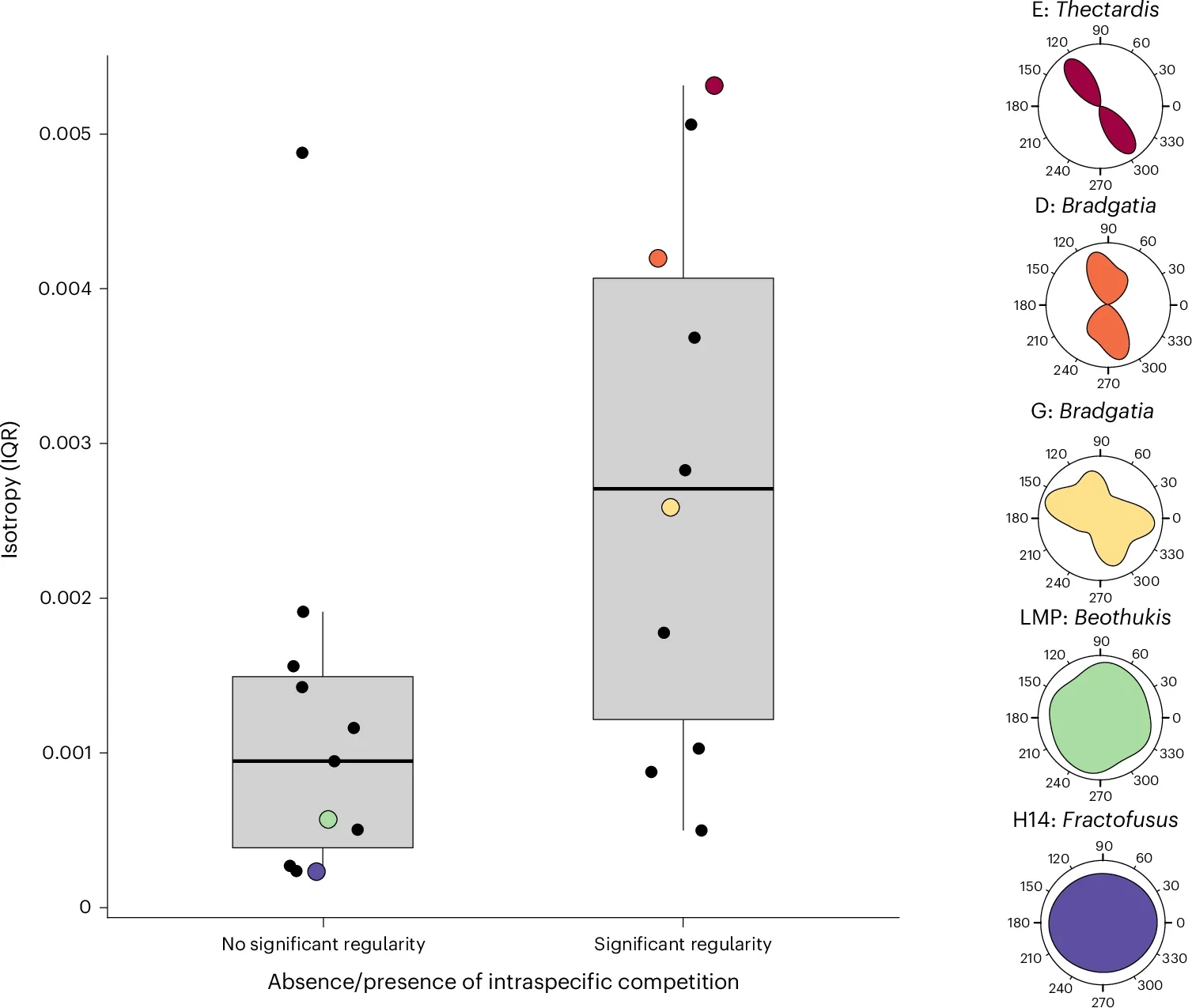 Relationship of isotropy to intra-specific segregatiom. Isotropy is measured by the IQR of point-to-point orientations grouped depending on whether they exhibit significant regularity: lower IQR indicates isotropy and higher IQR anisotropy.