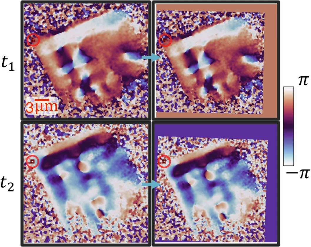 Phase reconstructions for two different times (t1, t2), each time has a different rotation and translation, which is fixed by calculating an affine transformation from at least 10 features selected manually on each frame.
