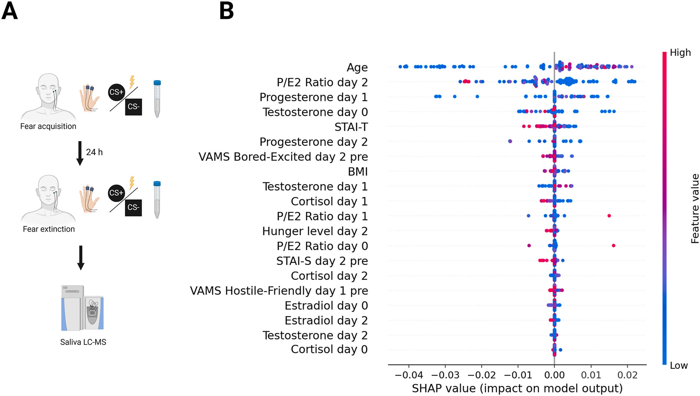 SHAP summary plot showing the top 20 features with the most influence on the model prediction of fear extinction in both men and women, measured using skin conductance response.