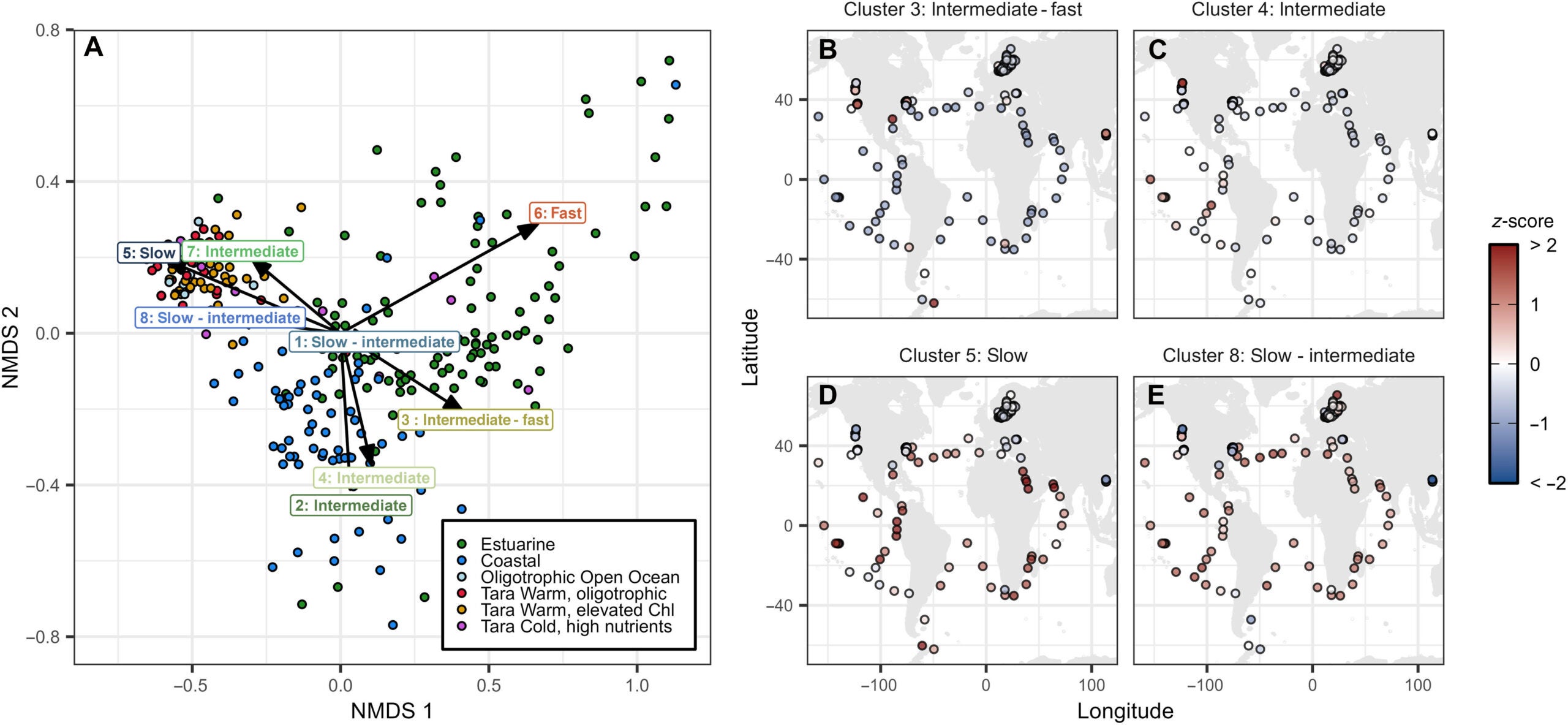 Biogeographical distribution of the SOM clusters.