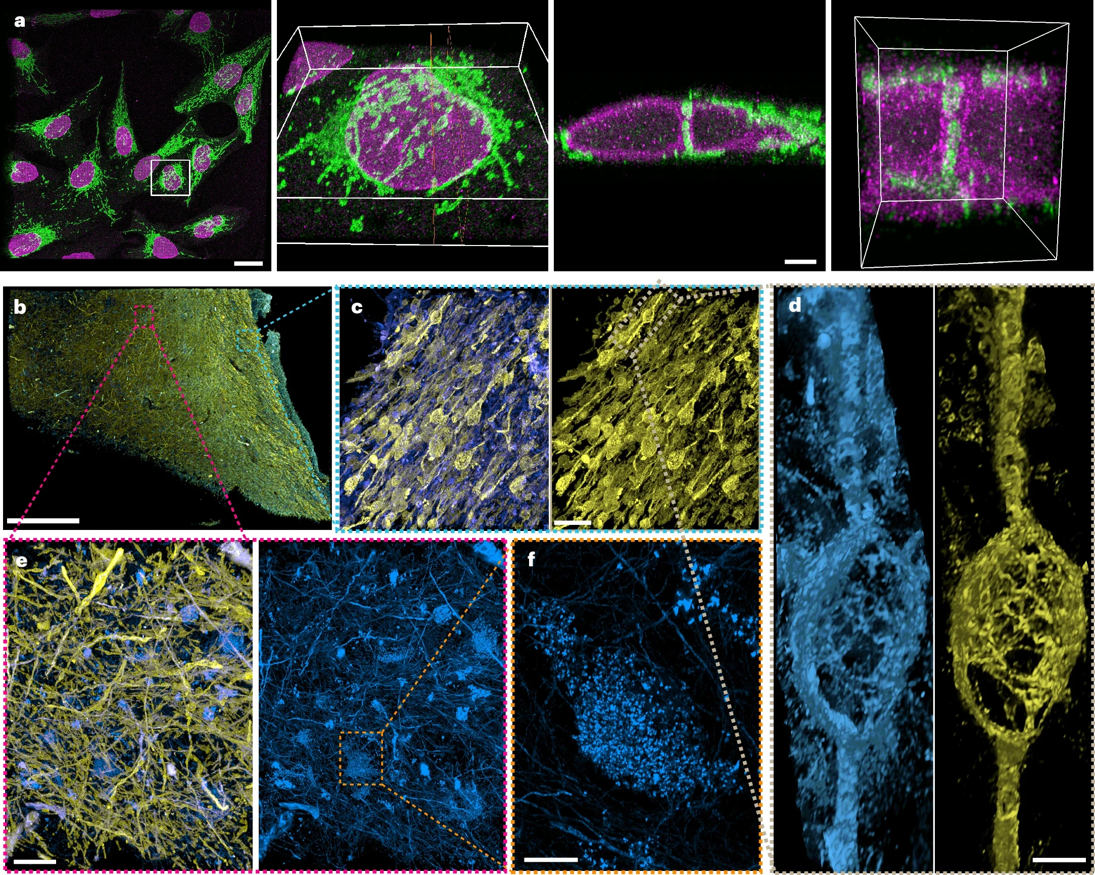 Volumetric imaging with nanoscale resolution.