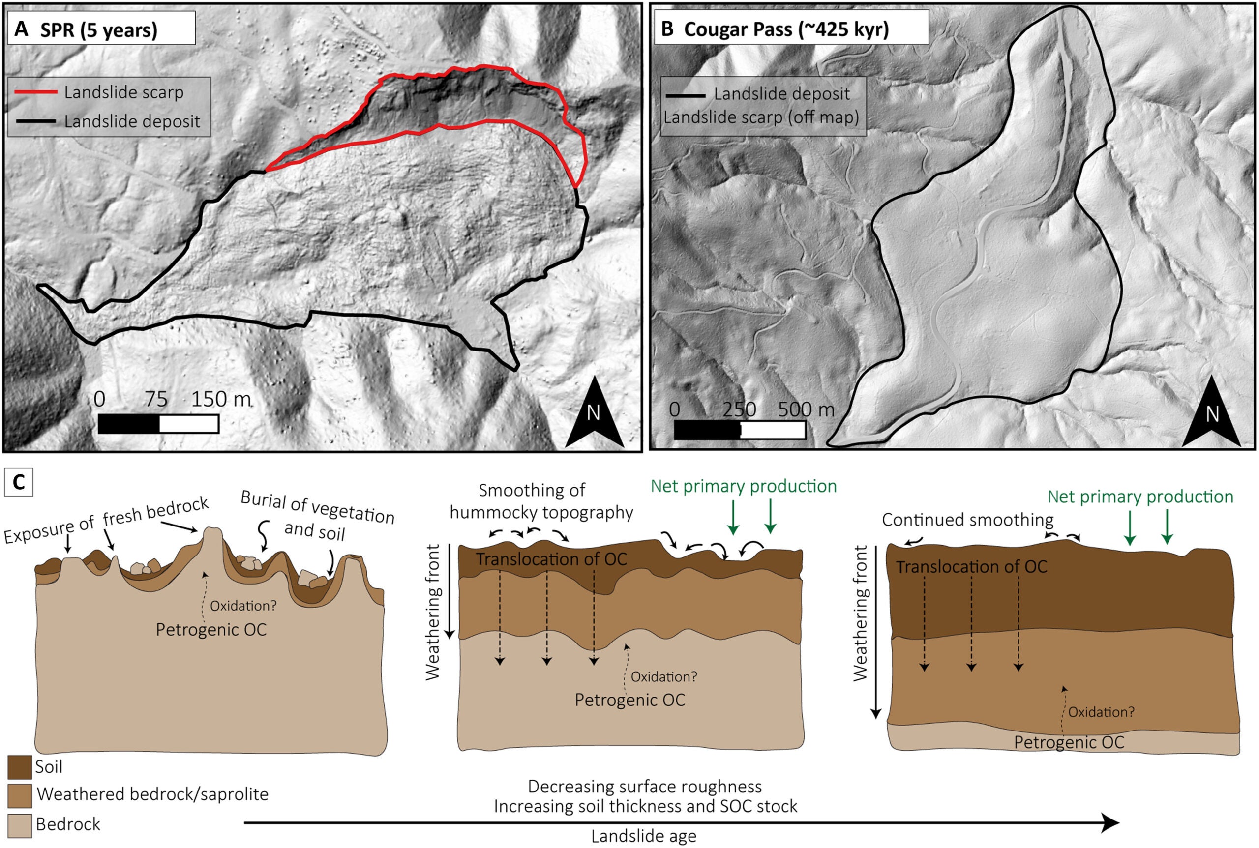Conceptual schematic of landslide deposit evolution.