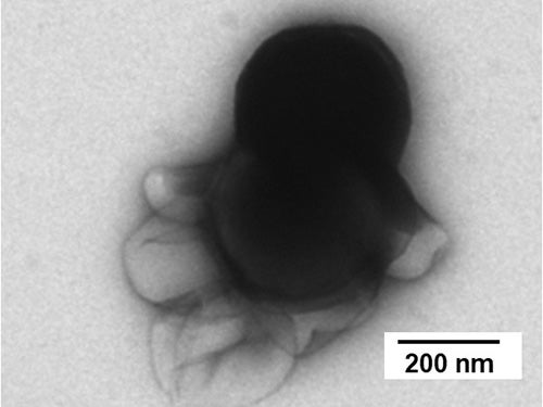 One of the nanorobots, imaged with a Transmission Electron Microscope.