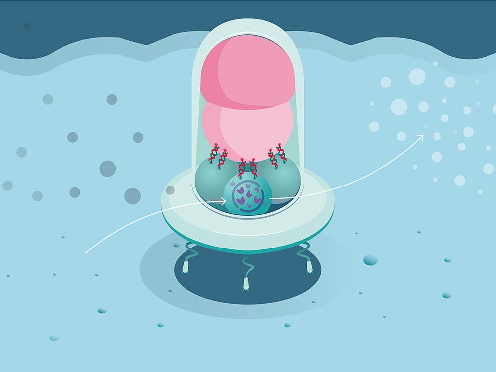 The nanorobot can attach itself to specific surfaces and carry out enzymatic reactions there. The enzymes (purple) inside the payload capsule convert molecules from the surrounding environment (left, dark gray) into the desired product (right, light gray).
