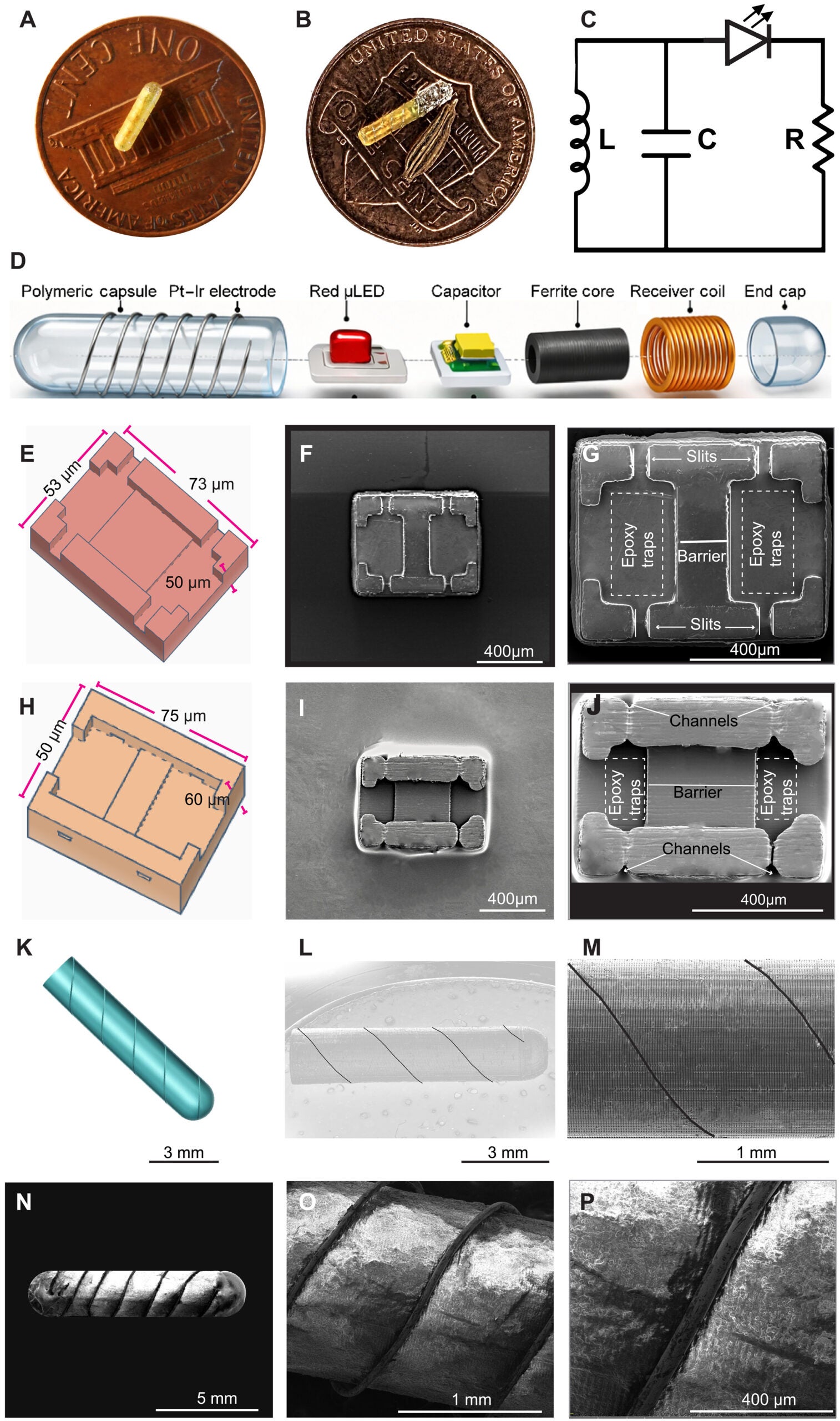 Device overview and fabrication workflow of injectable SEED.