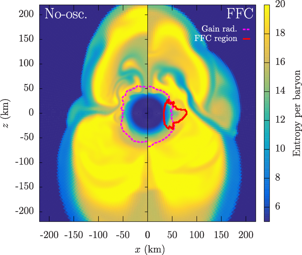 Meridian map of the entropy per baryon for the 9M⊙ VM EOS model at the 260 ms after bounce. Left and half panels correspond to no-oscillation and FFC models, respectively.