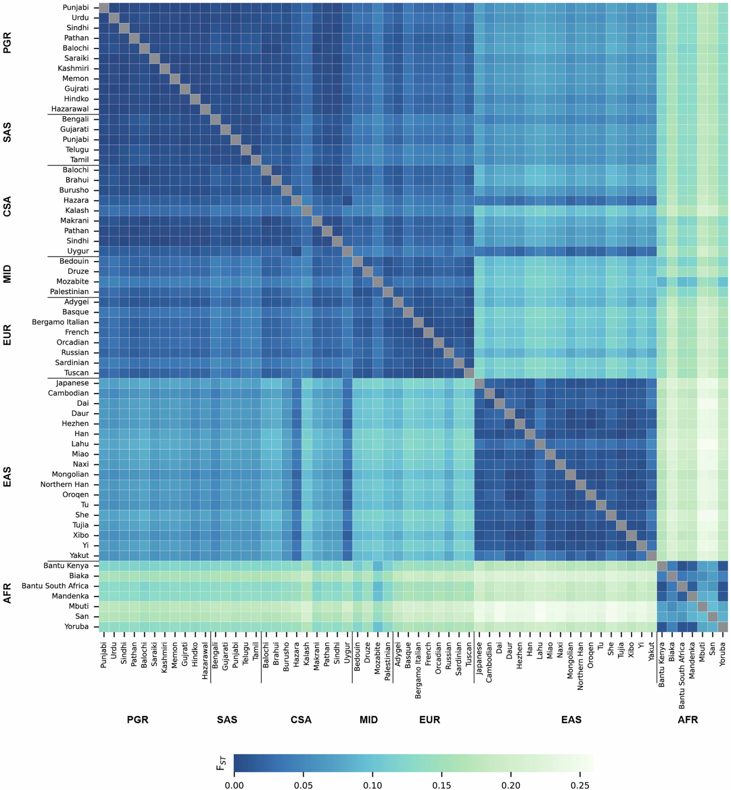 PGR ethnicities are genetically closer to Middle Eastern and European populations than to East Asian and African populations.