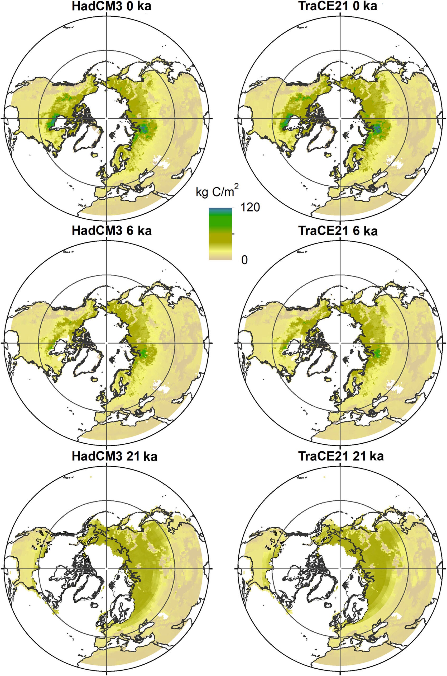 Distribution of soil C density.