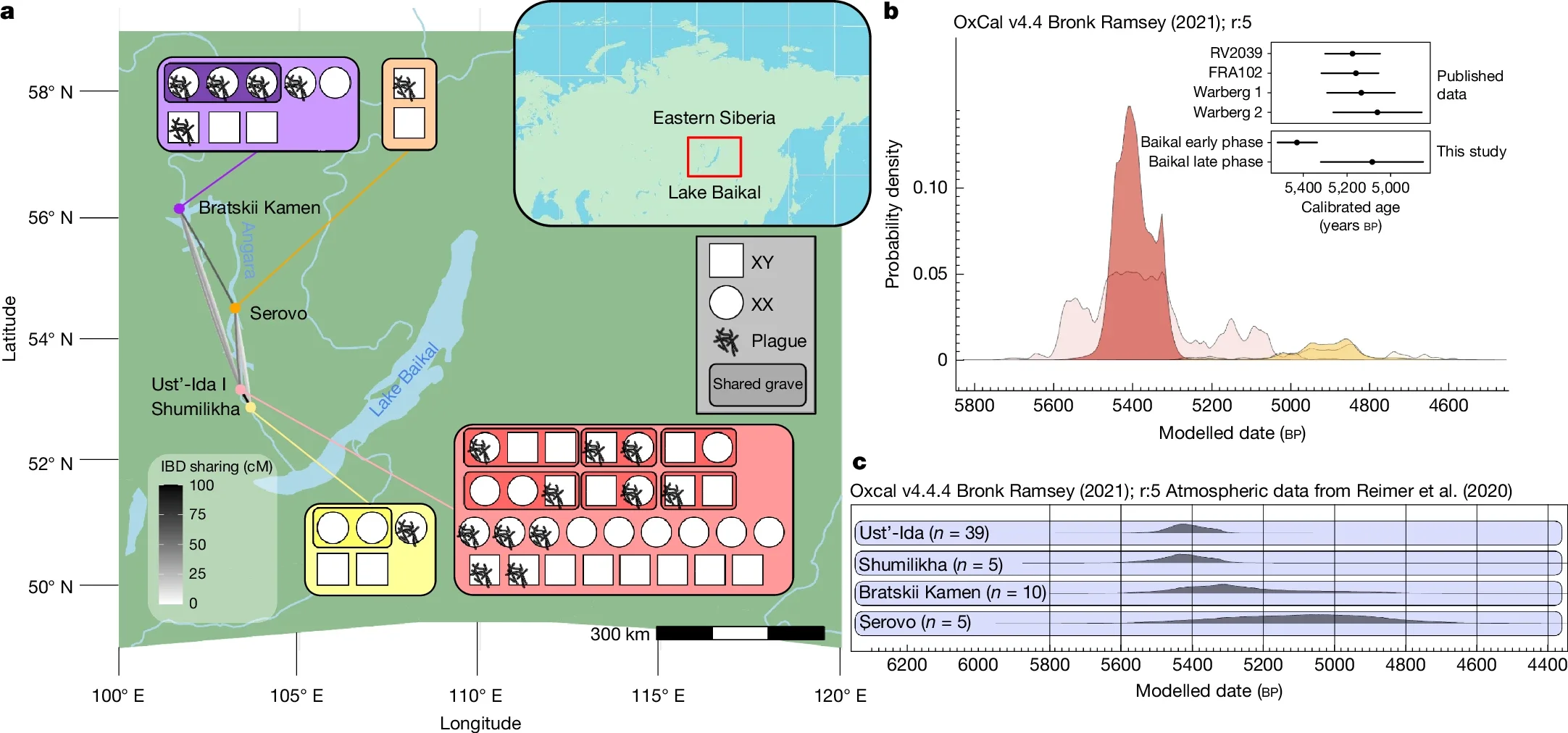 Overview of the spatiotemporal distribution of ancient humans and plague infections in this study.