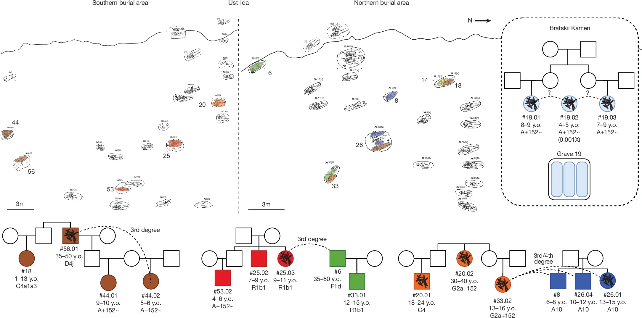 Familial pedigree groups identified from ancient genomes and the site plan for the Ust’-Ida I cemetery.