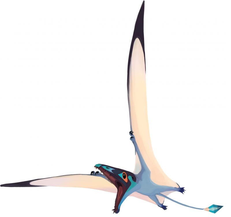 Pterosaurs were the first group of vertebrates to evolve flight, and became extinct at the same time as the dinosaurs. 
