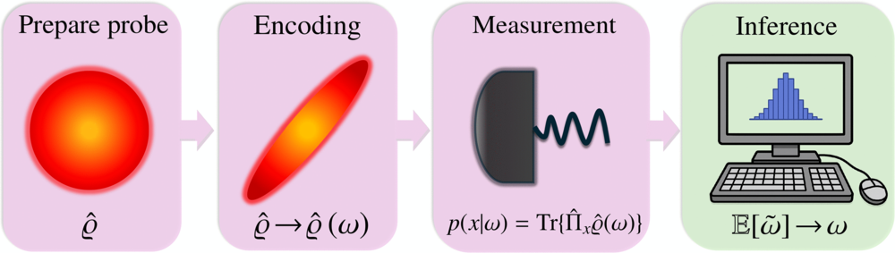 Schematic illustration of a general parameter estimation protocol. A probe state ϱ^ is initially prepared.
