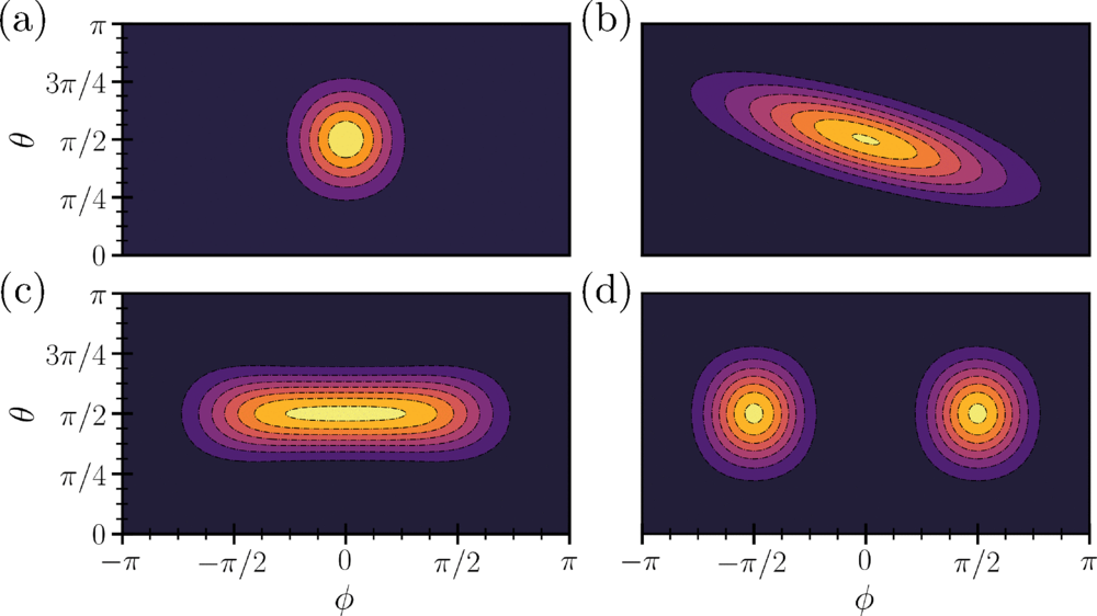 Mercator-projected phase-space (Husimi Q) distributions of quantum states used in Ramsey interferometry.
