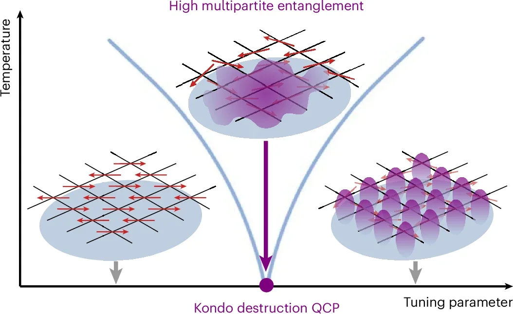 Visualization of enhanced multipartite entanglement in the Kondo destruction scenario.