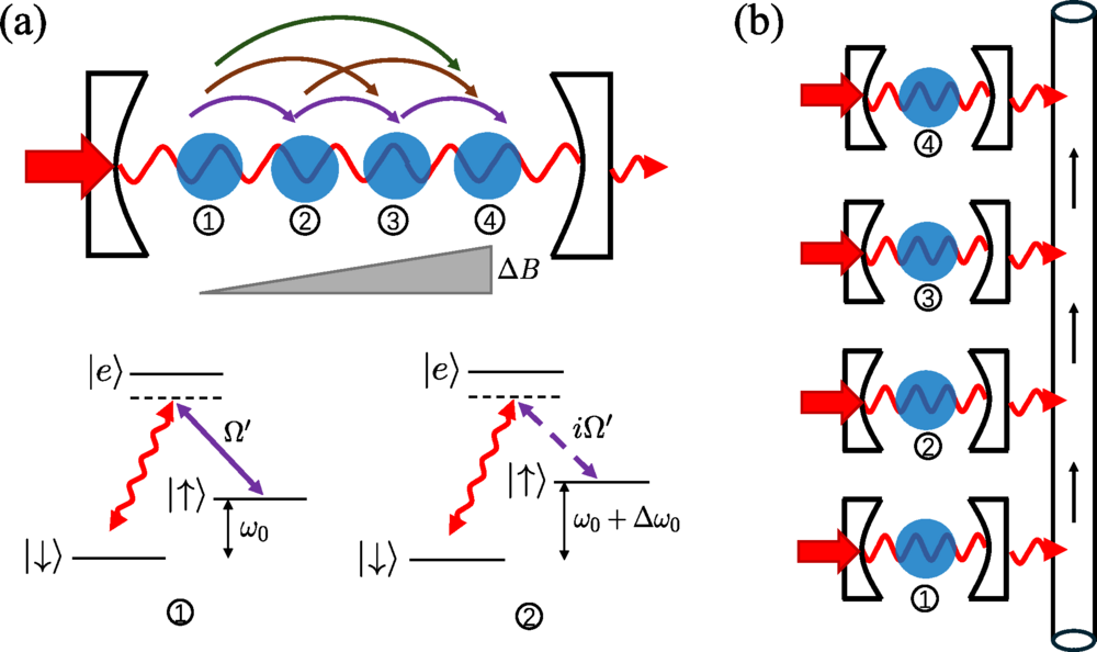 Schematic of the L=2 setup: two spin-S ensembles coupled to a cavity, each driven by Rabi fields with amplitudes Ω and opposite detunings ±Δ/2, subject to a cavity-mediated collective decay Γ. 