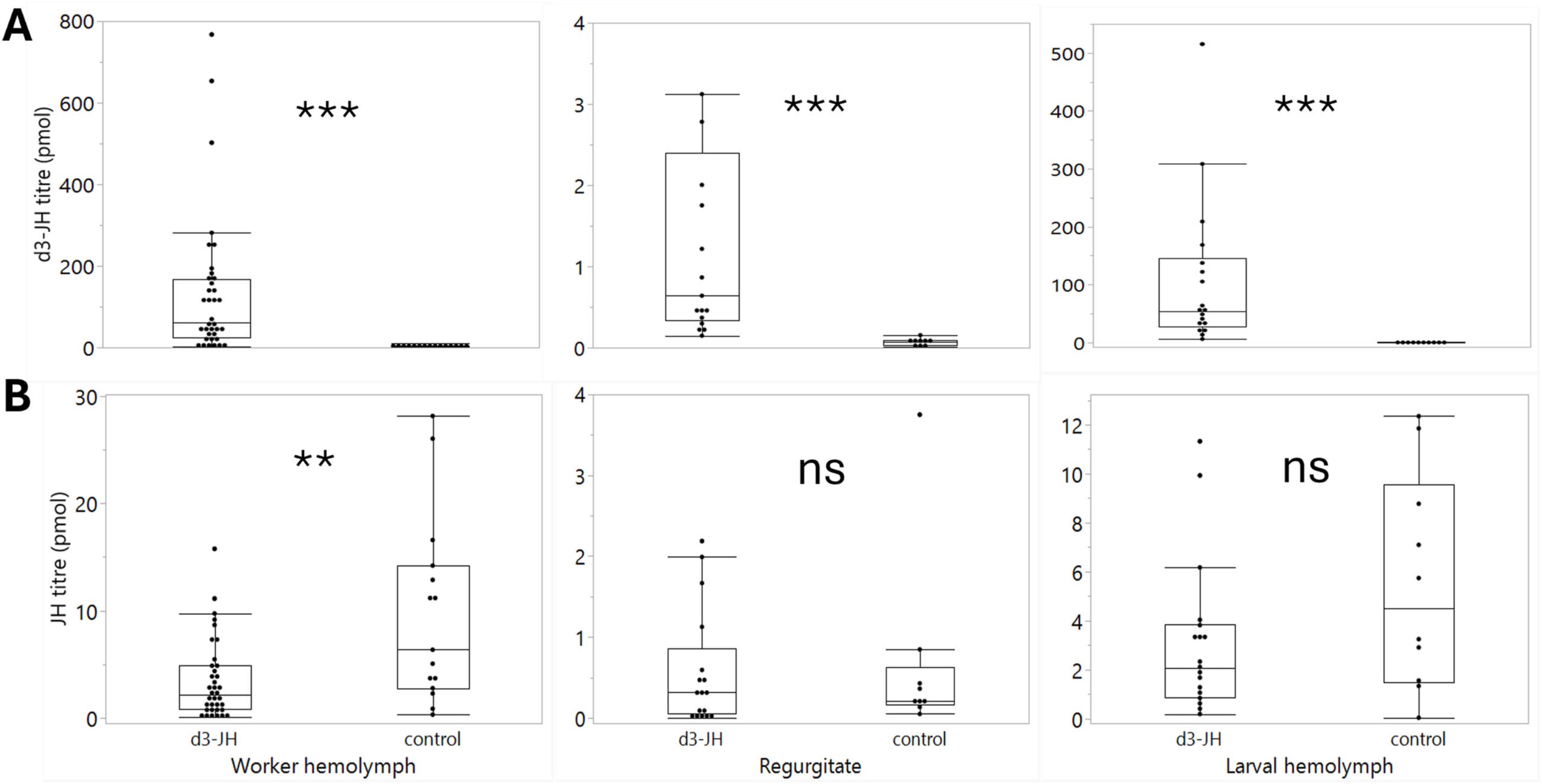 Titers of deuterated (A) and endogenous (B) JH III in worker hemolymph, worker regurgitate, and larval hemolymph. In the treatment group, deuterated JH was applied to workers on days 7 and 8 after larval hatching, and samples were collected at the end of day 8.