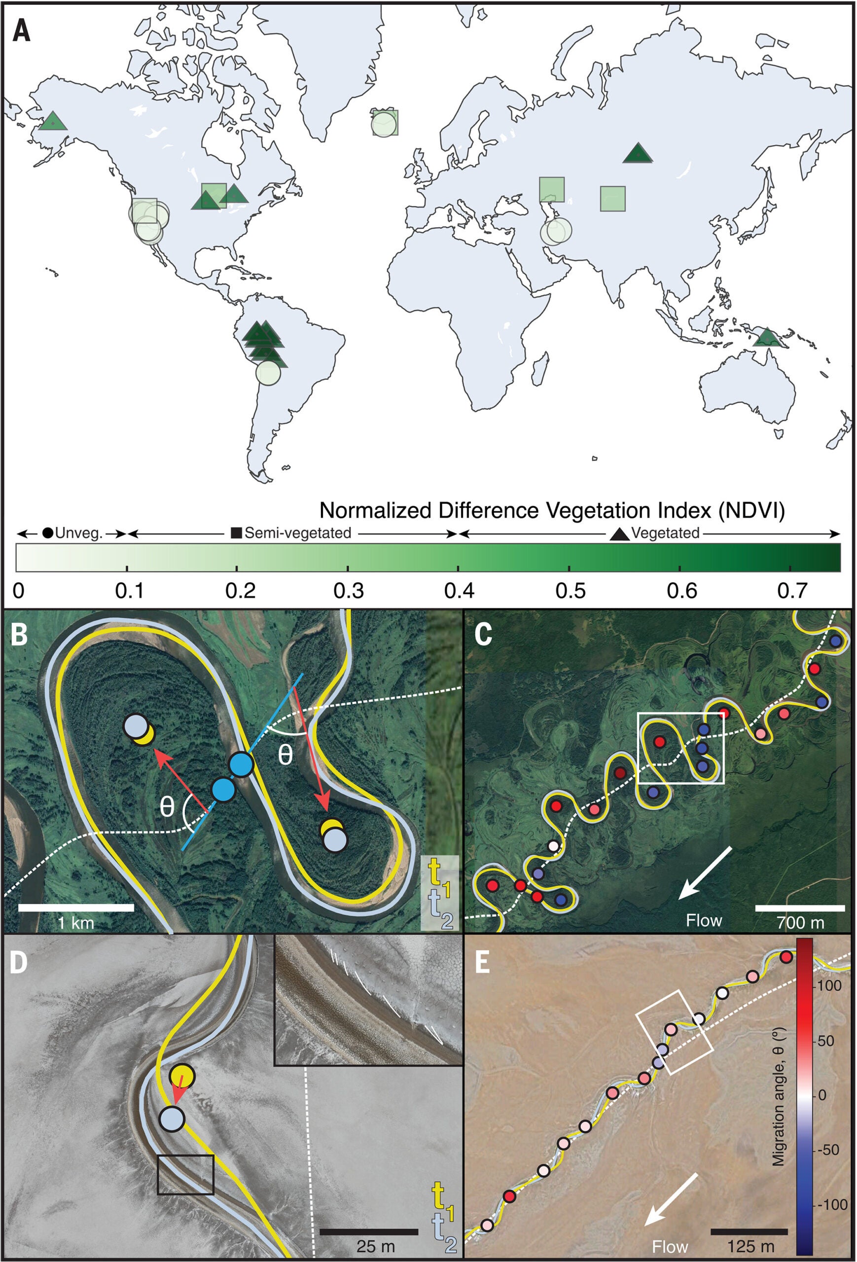 River meanders in vegetated and unvegetated landscapes.