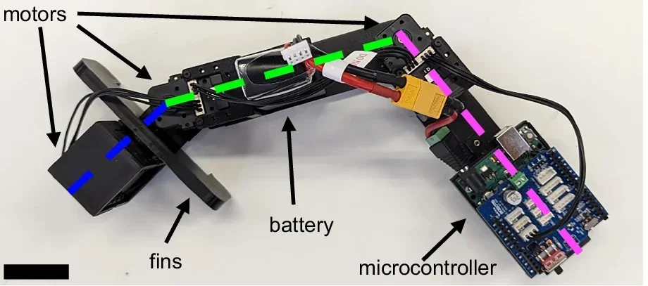 Mechanical locomotion of the physical robot.