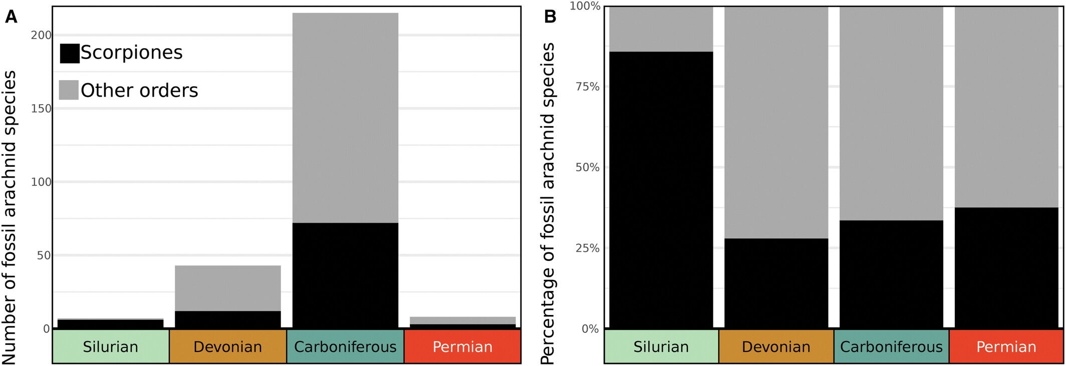 Scorpions vs other arachnid orders in the Palaeozoic fossil record. A, histogram showing the number of fossil arachnids described in upper Palaeozoic systems. B, histogram comparing scorpions and other arachnid orders as a percentage of described species in upper Palaeozoic systems.