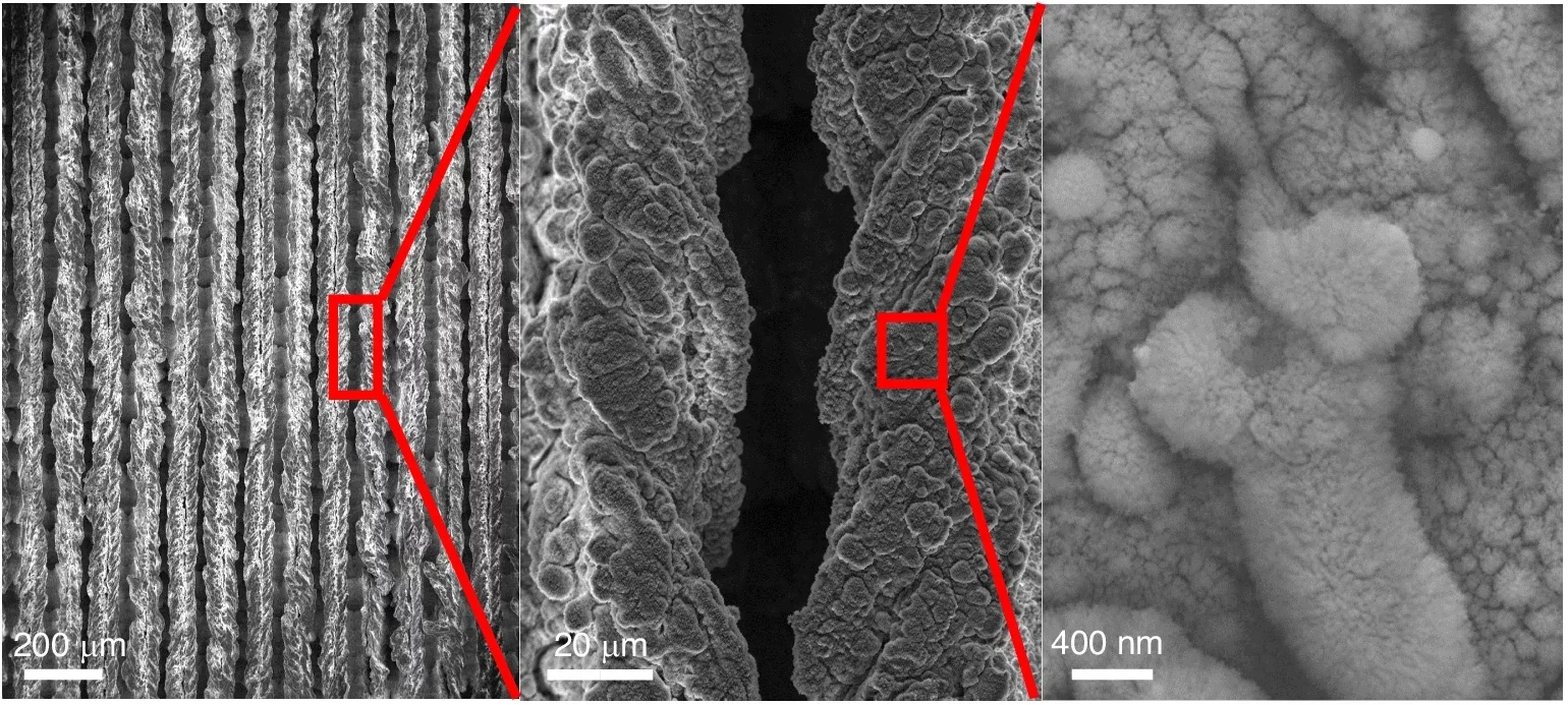 SWBM surface morphology, wettability, and optical absorption measurements.