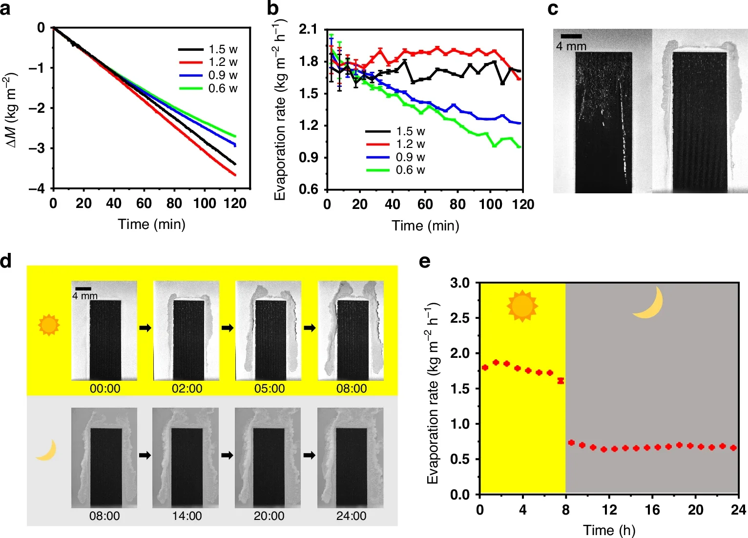 SWBM surface morphology optimization for self-cleaning.