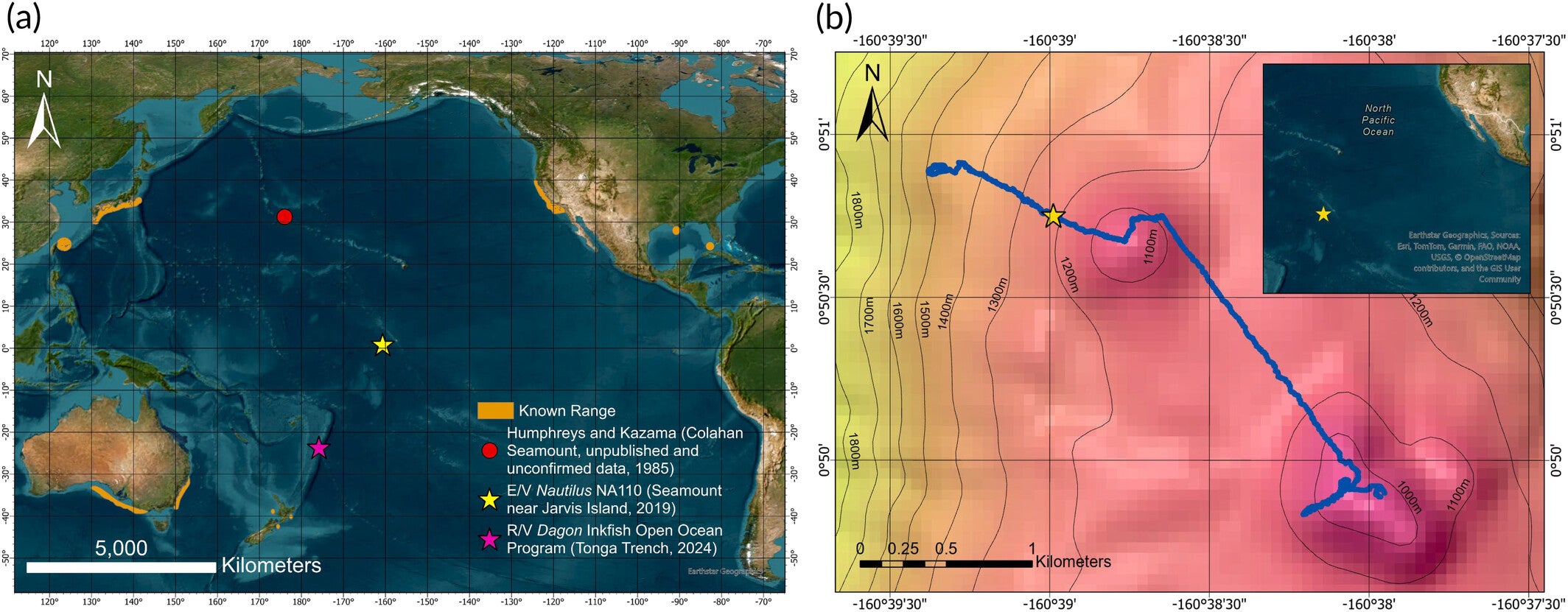 Observed distribution of the goblin shark (Mitsukurina owstoni) including new records. (a) Known distribution of the goblin shark (orange areas) with points representing the records from this study and an unconfirmed record by Humphreys and Kazama (1985) which was mentioned in (Mundy, 2005). (b) ROV Hercules dive track from the E/V Nautilus expedition NA110 (dive H1760). The star indicates the observation of the goblin shark.