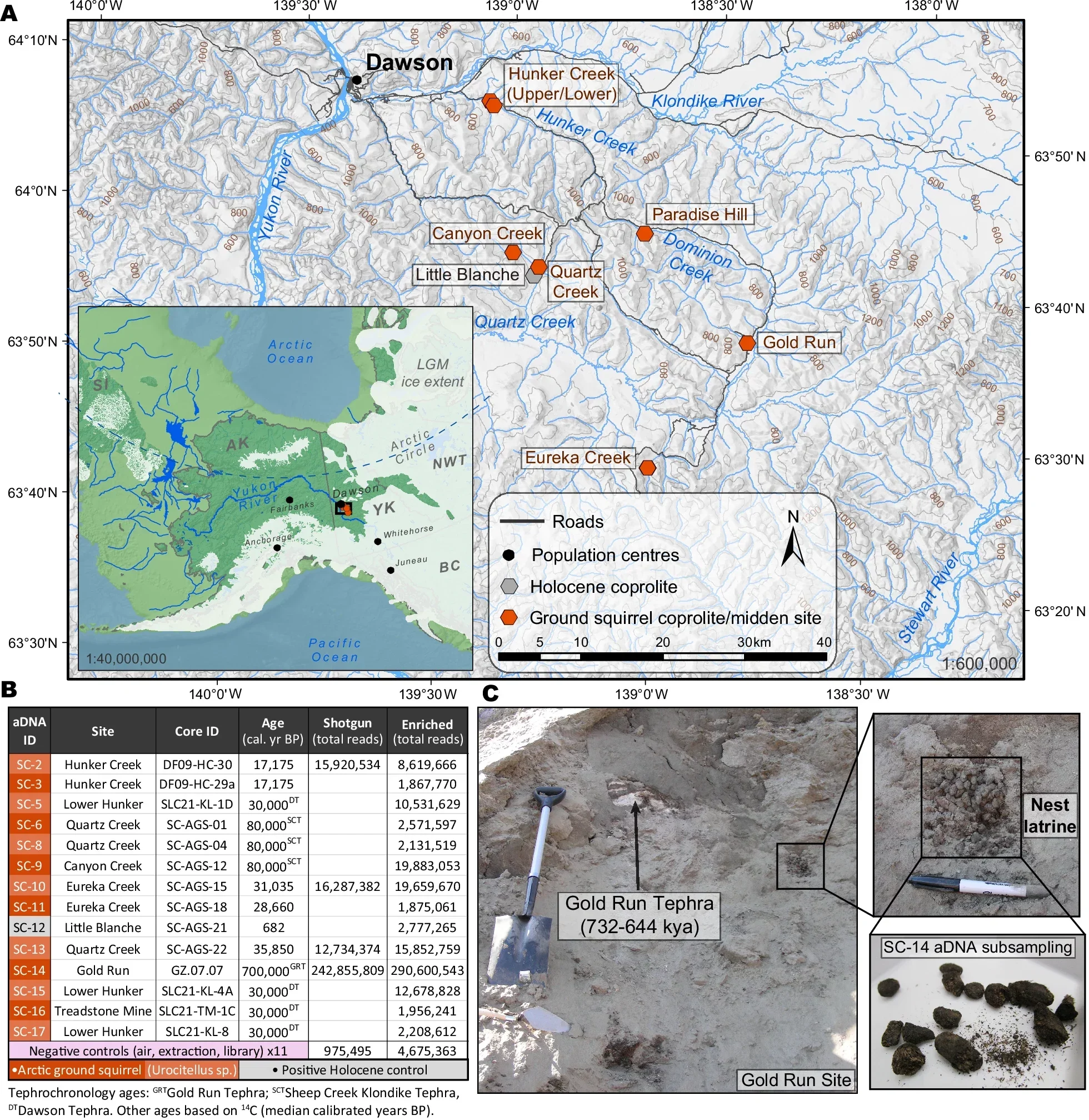 Coprolites processed for ancient environmental DNA with their midden locations.