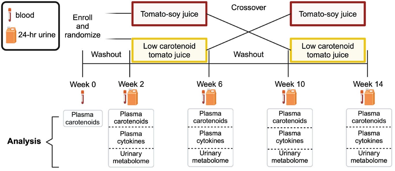 Schematic of crossover clinical trial