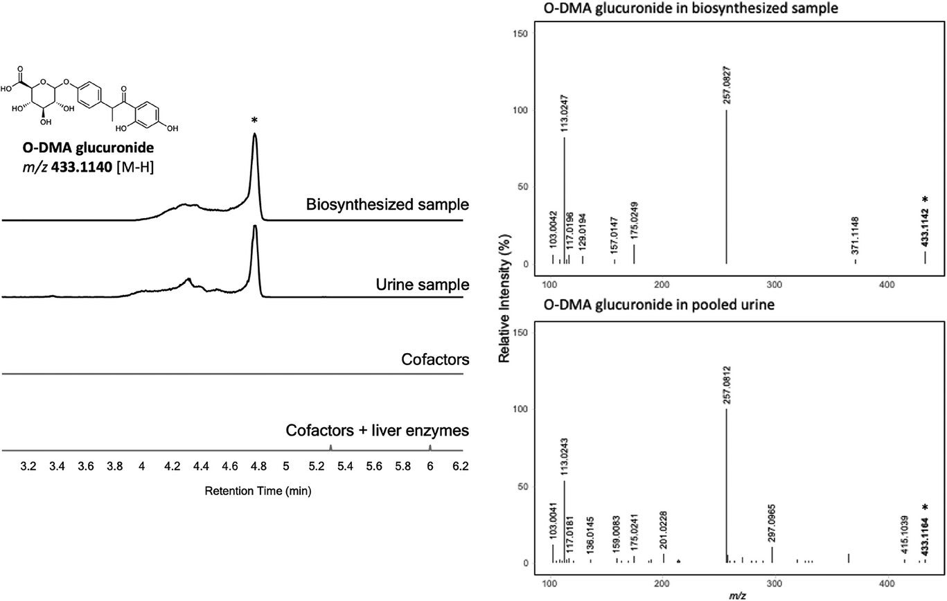 Extracted ion chromatograms (EICs) of m/z 433.1140 (O-DMA glucuronide