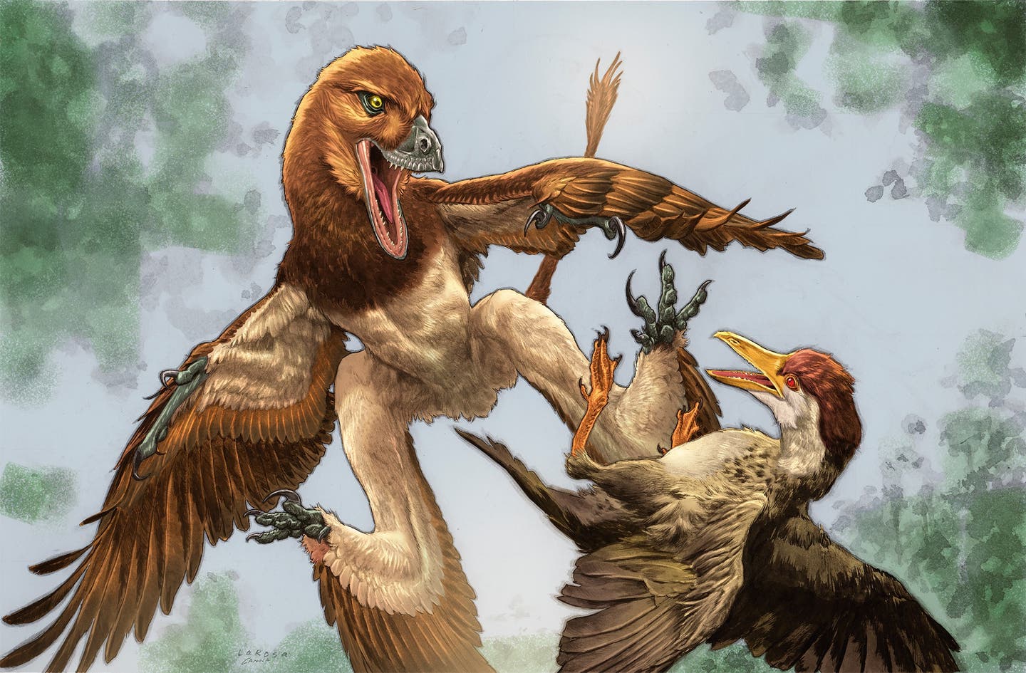 The new microraptor dinosaur Jian changmaensis (left) attacks the early bird Gansus yumenensis (right) in what is now the Changma Basin of northwestern China approximately 120 million years ago.