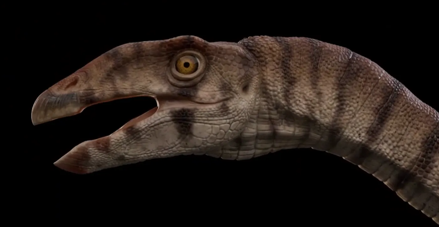 Labrujasuchus lived around 212 million years ago during the Triassic.