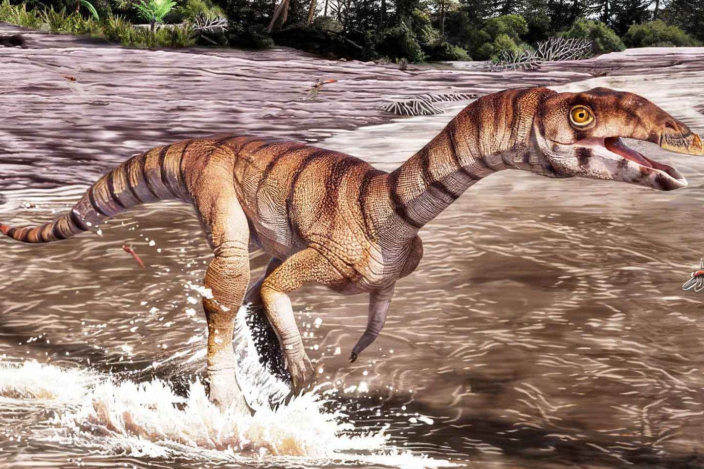 A new Triassic fossil reveals a two-legged, beaked reptile that evolved along the crocodile lineage.