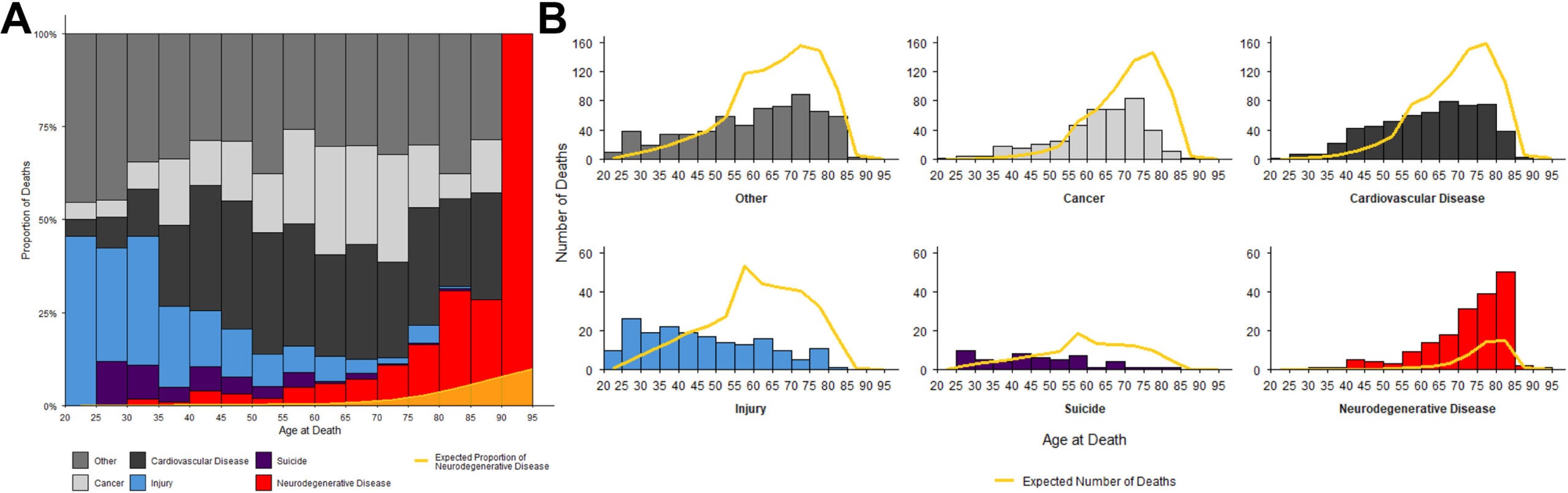(A) Relative proportion of each cause of death by age at death and expected proportion of neurodegenerative disease. (B) Observed and expected number of deaths for each cause by age at death. 