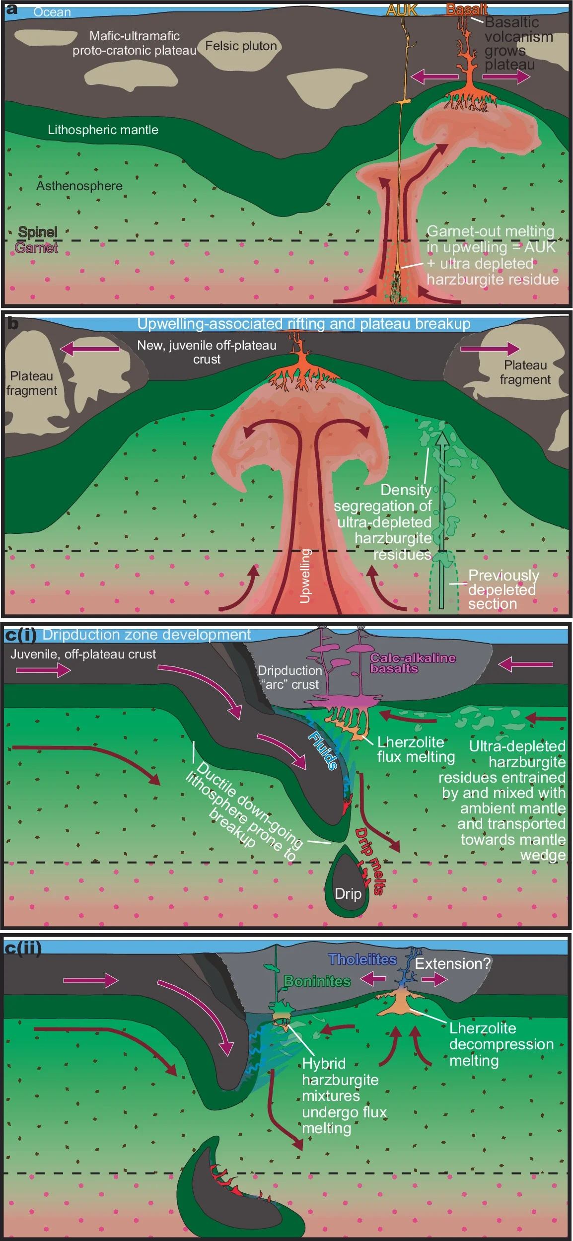 Schematic cartoon of Archean dripduction primitive lava petrogenesis and the origins of Mesoarchean boninites.
