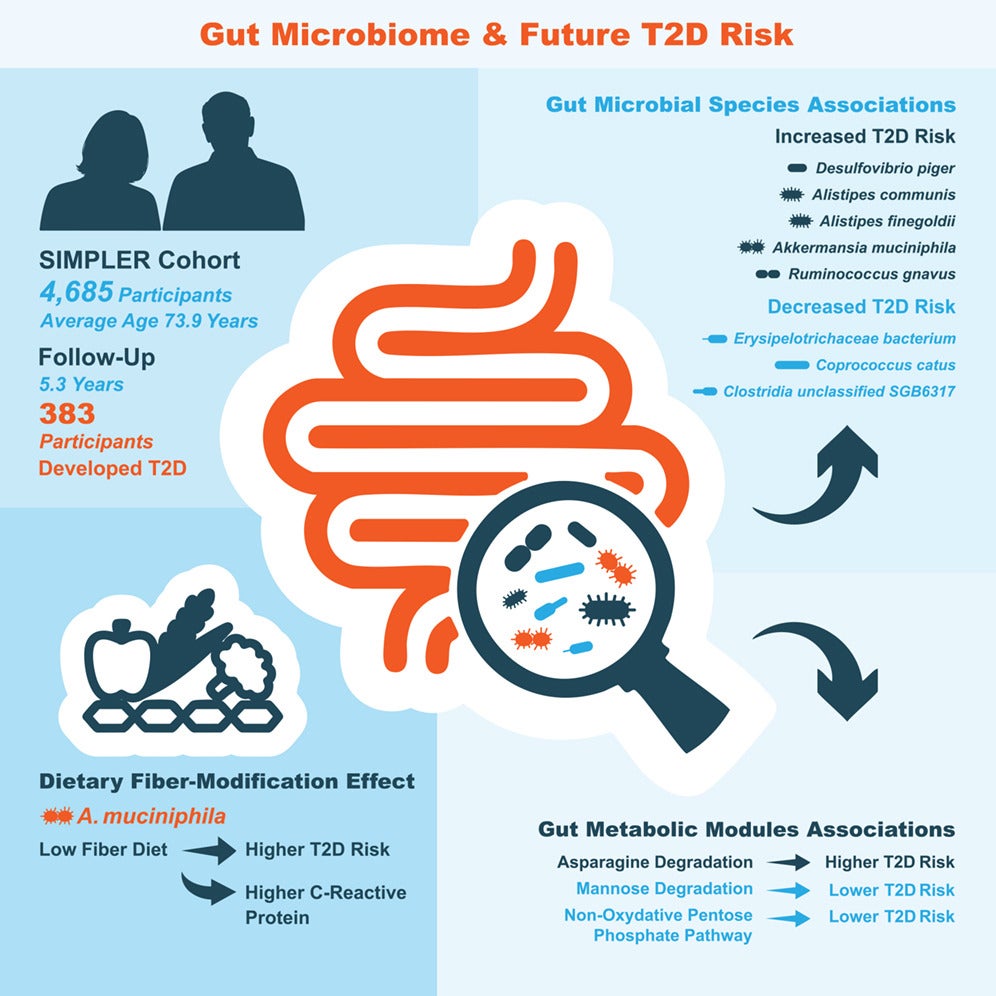 Graphical abstract of study that aims to identify taxonomic and functional features associated with future T2D risk.