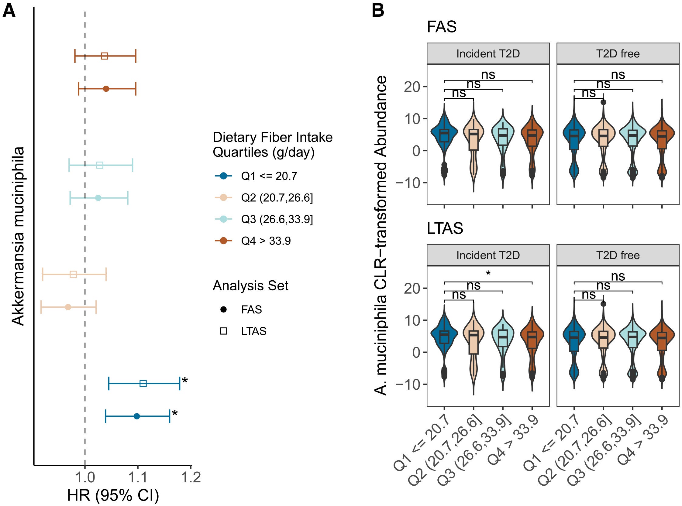 Association between Akkermansia muciniphila, dietary fiber intake, and incident T2D