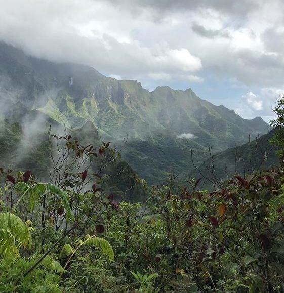 Swamp and lake sediments are found across the Pacific islands often in remote volcanic crater lakes or mountain rain forests like here on Tahiti