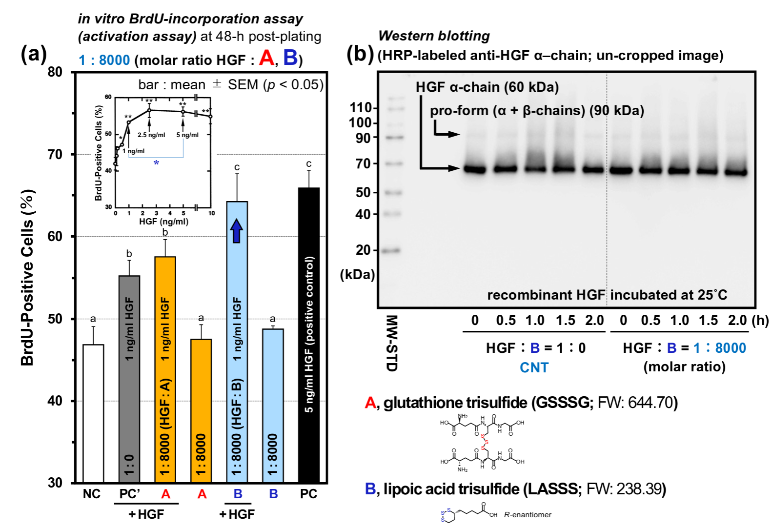 Enhanced nitration resistance of BSA by lipoic acid trisulfide (LASSS; at 1:8000 molar ratio, with wash-out step).