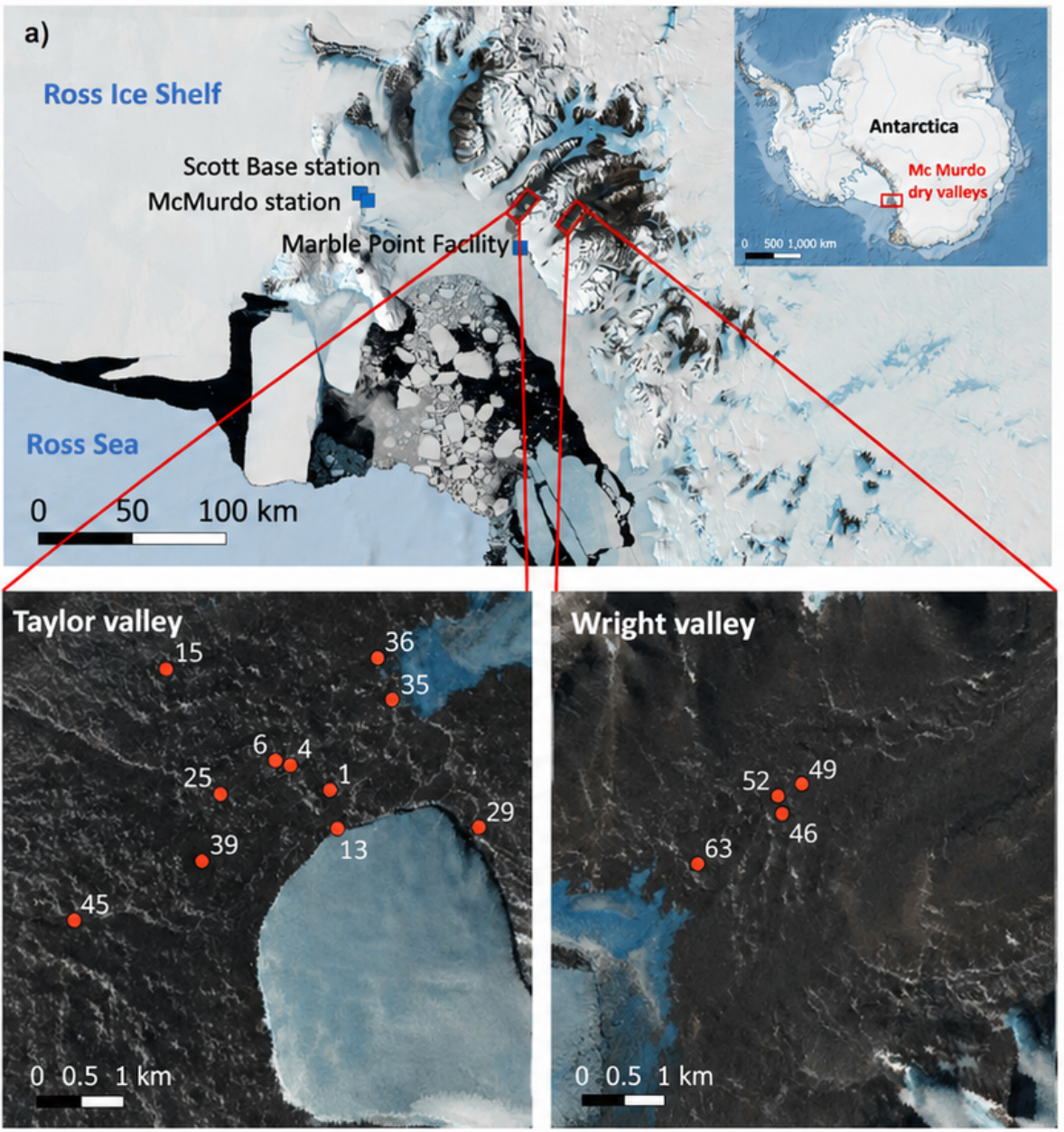 Sampling locations in the MDV, Antarctica. The main map shows the proximity of Taylor Valley and Wright Valley to the Ross Ice Shelf, Ross Sea and some research stations, with detailed views of sampling points (red dots) in both valleys. The inset map provides the broader geographical context of the MDV within Antarctica.