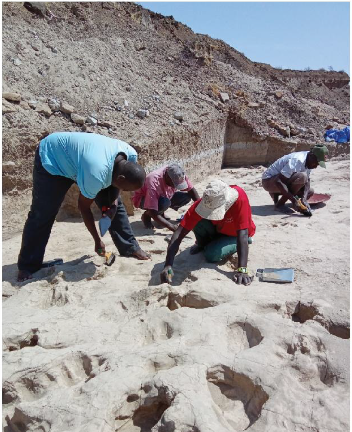 Reburial of the GaJi10 track surface. Photo of the track surface during excavation.